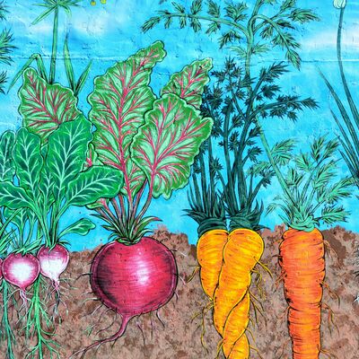 Root vegetables cross stitch pattern