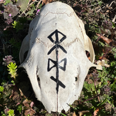 Partial skull with odin bindrune 