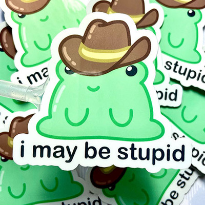 I may be stupid