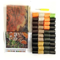 Cardinal Pillow Cushion Cover Rug Making Latch Hooking Kit (43x43cm Blank Canvas) - Thumbnail 1