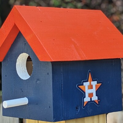 Astros bird house