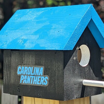 Panthers bird house