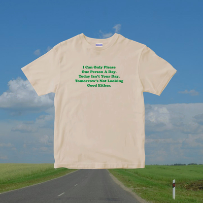 I can only please one person a day t shirt