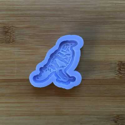 Raven silicone mold