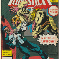 Marvel Comics Punisher set of three comics (1989-1990) - Thumbnail 2