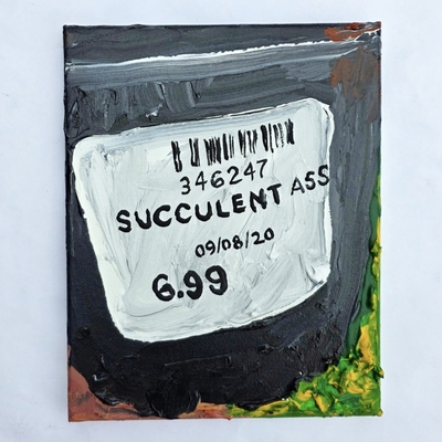 Succulent 