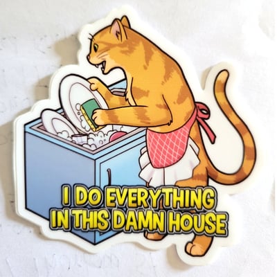 Cleaning cat