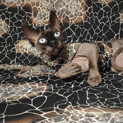 Giraffe - sleepwear