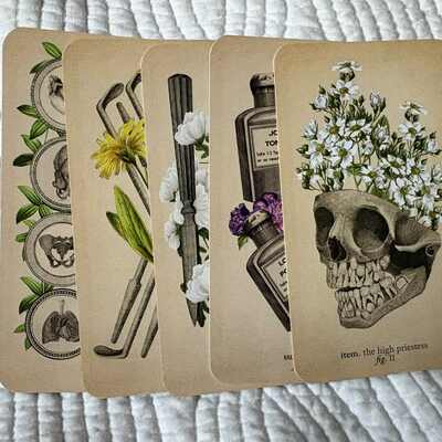 Card readings