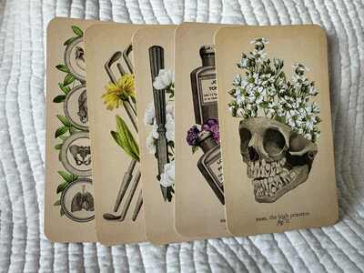 Card Readings
