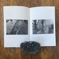 Graveyard Flora - Thumbnail 3