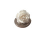 White Roses - Thumbnail 1