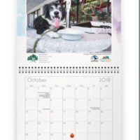 Pets Around Blount County: 2018 Calendar - Thumbnail 2
