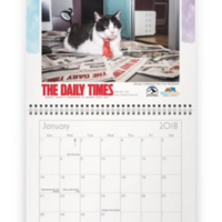 Pets Around Blount County: 2018 Calendar - Thumbnail 4